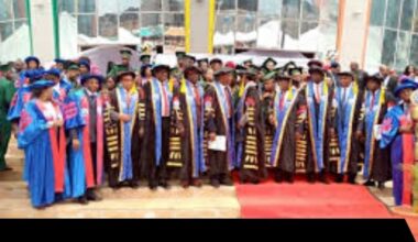 King David University