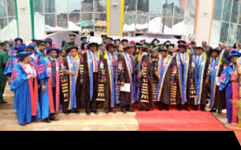 King David University