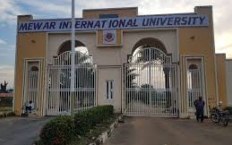 Mewar International University