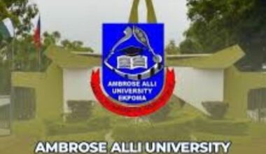 AAU Student Portal Login: Your Gateway to Academic Success