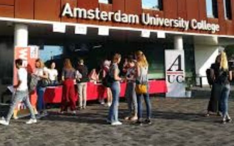 Amsterdam University College Student Portal