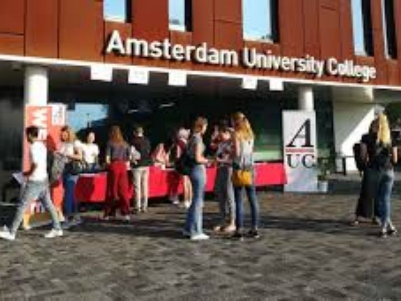 Amsterdam University College Student Portal