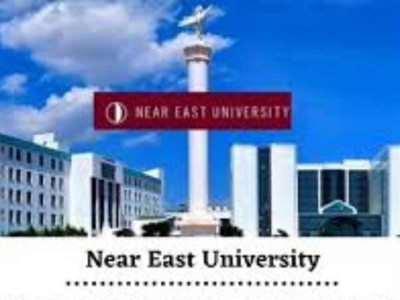 Near East University Student Portal