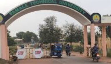 Tamale Technical University Student Portal