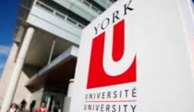 University of York Student Portal