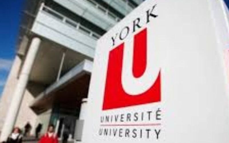 University of York Student Portal
