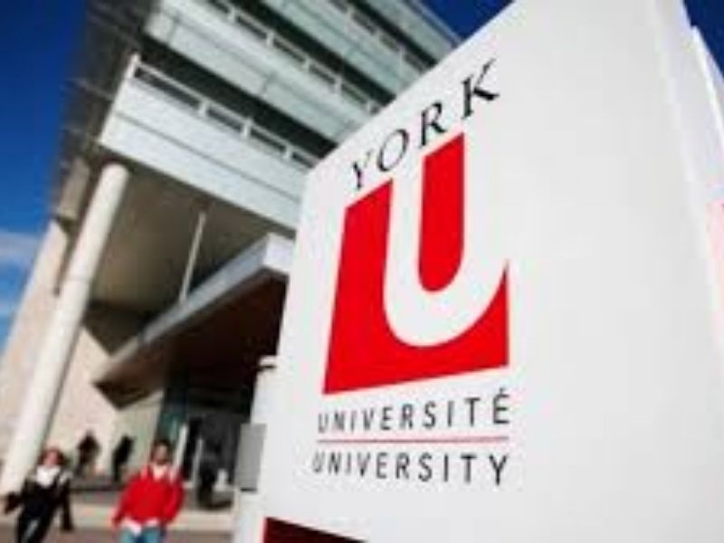 University of York Student Portal